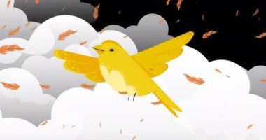 Animation of feathers falling over bird and clouds icons on black background. bird day, tradition and celebration concept digitally generated video.