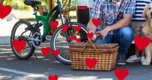 Mehrere Rote Herzsymbole Schweben Bei Einem Picknick Vor Einer Kaukasischen — Stockvideo