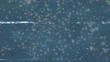 Animation of screen over network of connections. social media and communication concept digitally generated video.