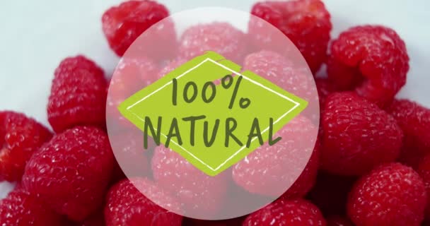 Animation 100 Percent Natural Text Fresh Raspberries Background World Vegan — Stock Video