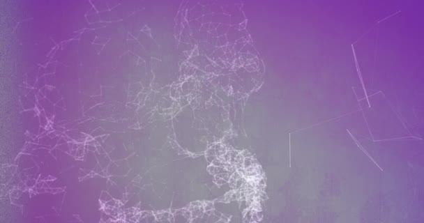 Animation Complex Network Connections Forming Human Skull Purple Background Global — Wideo stockowe