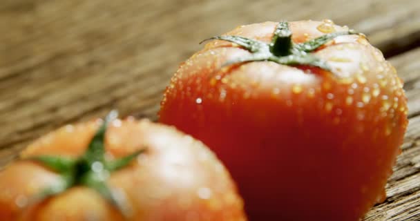 新鮮なトマトに対する農民市場のテキストのアニメーション 世界のビーガンデーとお祝いのコンセプトデジタル生成ビデオ — ストック動画