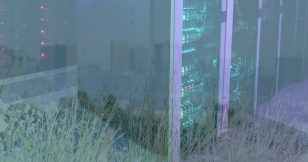 Анимация Городов Обработка Данных Компьютерные Серверы Глобальные Вычисления Цифровой Интерфейс — стоковое видео