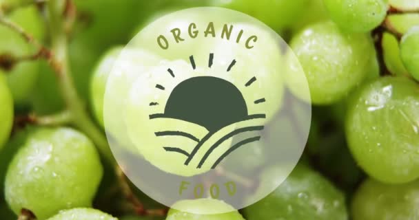 Animación Texto Alimentos Orgánicos Sobre Uvas Frescas Día Mundial Vegano — Vídeos de Stock