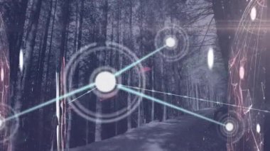 Orman üzerinde finansal veri işleme animasyonu. küresel iş, finans, bağlantılar ve dijital arayüz konsepti dijital olarak oluşturulmuş video.
