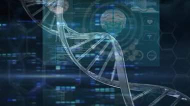 Siyah arayüz üzerinde beyin ve veri işleme ile 3D DNA iplikçiklerinin döndürülmesi. küresel tıbbi araştırma teknolojisi ve dijital arayüz konsepti, dijital olarak oluşturulmuş video.