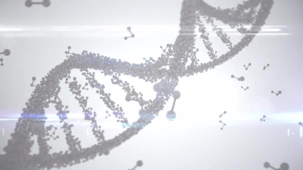 Animation Roterende Dna Streng Med Flydende Molekylære Strukturer Lysegrå Global – Stock-video