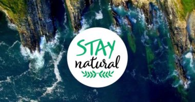 Denizdeki doğal metnin animasyonu. küresel çevre, yeşil enerji ve dijital arayüz konsepti dijital olarak oluşturulmuş video.