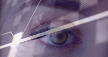 Kafkasyalı bir kadının gözünden finansal veri işleme animasyonu. küresel iş, finans ve dijital arayüz kavramı dijital olarak oluşturulmuş video.