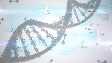 Soluk gri üzerinde ışıklarla ve yüzen moleküler yapılarla dönen 3D DNA iplikçiklerinin animasyonu. küresel tıbbi araştırma teknolojisi ve dijital arayüz konsepti, dijital olarak oluşturulmuş video.
