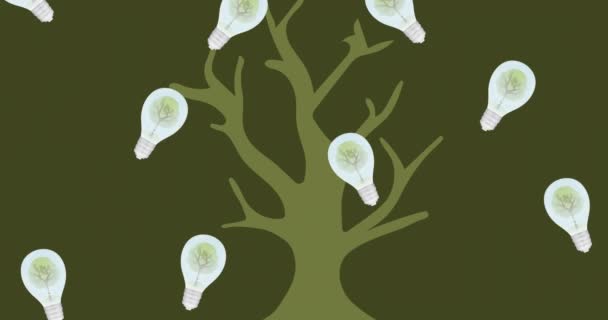 Animation Von Glühbirnen Über Einem Baum Auf Grünem Hintergrund Globale — Stockvideo