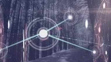 Orman üzerindeki simgelerle bağlantı ağının animasyonu. küresel iş, finans, bağlantılar ve dijital arayüz konsepti dijital olarak oluşturulmuş video.
