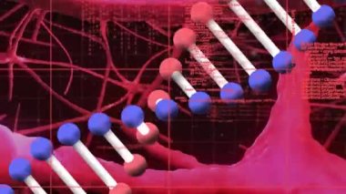 Siyah arkaplan üzerinde DNA ipliği ve veri işleme animasyonu. küresel bilim, tıp ve veri işleme kavramı dijital olarak oluşturulmuş video.