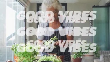 Son sınıf melez kadın bahçıvanlığı üzerine iyi titreşimlerin animasyonu. Sosyal medya ve iletişim arayüzü kavramı dijital olarak oluşturulmuş video.