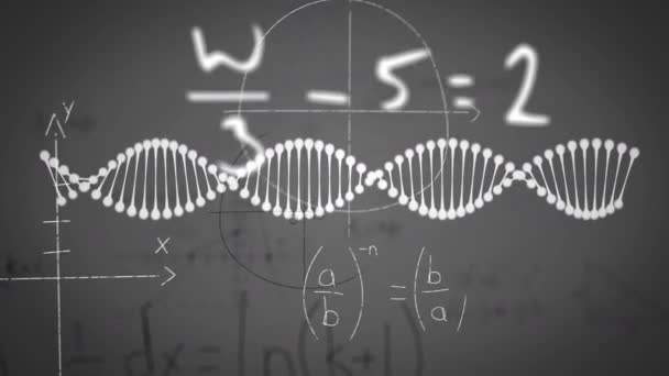 Animación Hebra Adn Ecuaciones Matemáticas Sobre Fondo Gris Concepto Mundial — Vídeos de Stock