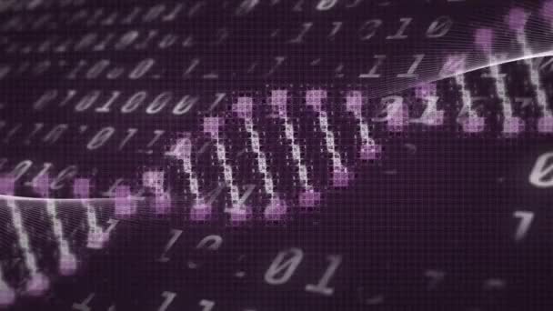 Анімація Нитки Dna Над Двійковим Кодуванням Фіолетовому Фоні Концепція Глобальної — стокове відео