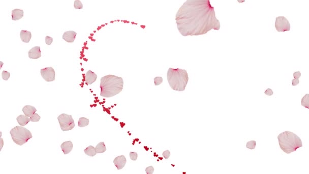 Animation Rose Petals Heart White Background Valentines Day Celebration Concept — Stock Video