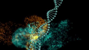 Siyah zemin üzerinde dijital dalgaya karşı dönen DNA yapısının dijital animasyonu. tıbbi araştırma ve bilim teknolojisi kavramı