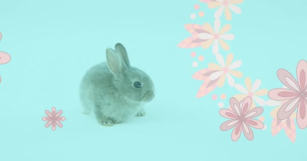 青い背景にイースターバニーで回転するピンクの花のアニメーション イースターの伝統とお祝いのコンセプトデジタル生成ビデオ — ストック動画