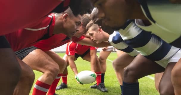 Animation Diverser Männlicher Rugby Spieler Stadion Sport Und Wettkampfkonzept Digital — Stockvideo