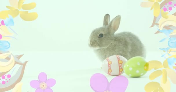 Animação Ovos Páscoa Coelho Páscoa Com Flores Girando Fundo Verde — Vídeo de Stock