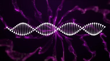 Siyah arka planda DNA iplikçikleri ve pembe izler. Bilim ve veri işleme kavramı dijital olarak oluşturulmuş video.