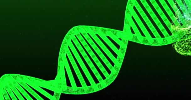 Animação Fio Dna Manchas Verdes Fundo Preto Conceito Ciência Processamento — Vídeo de Stock