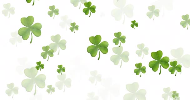 Digitální Animace Několika Jetelových Listů Vznášejících Bílém Pozadí Happy Patricks — Stock video