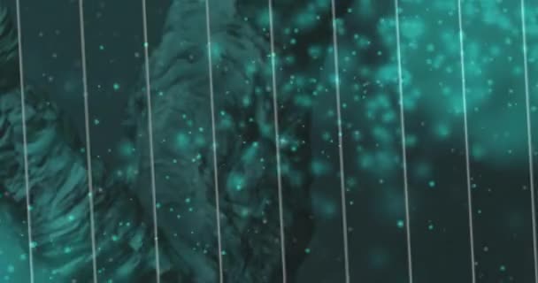 Animatie Van Dna Streng Witte Vlekken Zwarte Achtergrond Wetenschappelijk Gegevensverwerkingsconcept — Stockvideo