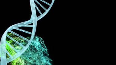 Siyah arka planda DNA iplikçiklerinin ve renkli lekelerin animasyonu. Bilim ve veri işleme kavramı dijital olarak oluşturulmuş video.