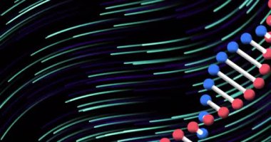 Siyah arka planda DNA iplikçikleri, yeşil ve mavi izler. Bilim ve veri işleme kavramı dijital olarak oluşturulmuş video.