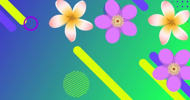 Animation Von Blumen Und Bewegten Formen Auf Grünem Hintergrund Natur — Stockvideo