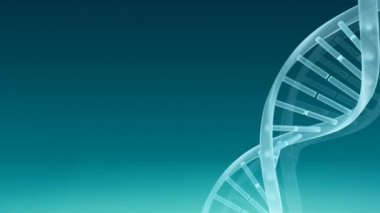 Yeşil arkaplanda kopyalama alanı ile dönen DNA iplikçiklerinin videosu. Bilim ve araştırma konsepti dijital olarak oluşturulmuş video.