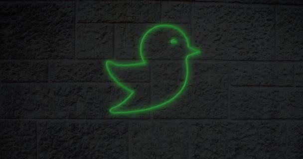 Tuğla Duvarda Parlayan Neon Kuş Simgesinin Animasyonu Sosyal Medya Iletişim — Stok video