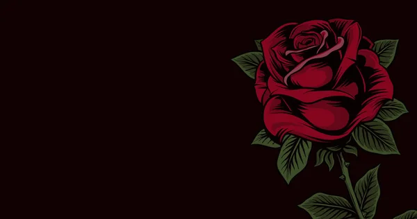 Image Single Red Rose Moving Copy Space Black Background Nature — Stock Photo, Image