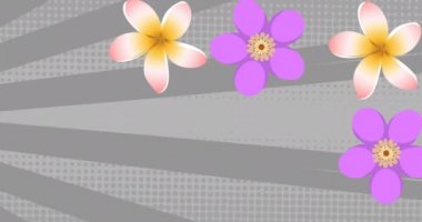 Arka planda dönen gri çizgiler üzerinde pembe ve mor çiçeklerin animasyonu. soyut desen, renk ve doğa konsepti dijital olarak oluşturulmuş video.