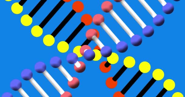 Animation Dna Strands Spinning Blue Background Science Research Concept Digitally — Stock Video