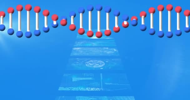 Анимация Dna Spinning Медицинских Данных Экранах Синем Фоне Научно Исследовательская — стоковое видео