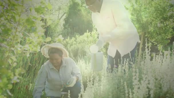 Video Luces Azules Sobre Hombres Mujeres Biraciales Que Trabajan Jardín — Vídeo de stock