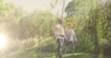 Doğada yürüyen yaşlı çiftlerin üstündeki ışıkların videosu. Ulusal Yürüyüş Günü, dijital olarak üretilen sağlıklı yaşam tarzı.