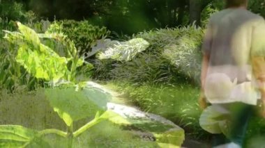 Doğada yürüyen beyaz bir kadının üzerindeki ışıkların videosu. Ulusal Yürüyüş Günü, dijital olarak üretilen sağlıklı yaşam tarzı.