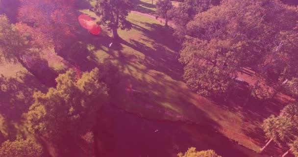 公園の木々の上を飛んで鳥のオーバーヘッドビューのビデオ アーバーの日のコンセプトをデジタルで — ストック動画