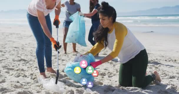 해변에서 쓰레기를 그룹에 사람들의 아이콘 애니메이션이다 활동을 단체의 영상을 디지털로 — 비디오