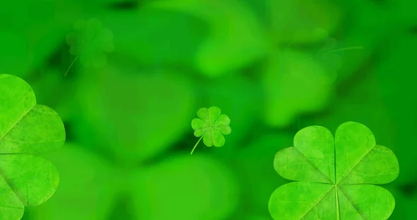 Imagen Hojas Trébol Cayendo Girando Sobre Fondo Verde Celebración Del — Foto de Stock