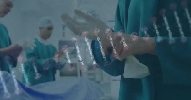 Animace Vlákna Dna Ženské Různorodé Chirurg Dávat Rukavice Globální Výzkum — Stock video