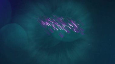 Mor çizgilerin ve siyah arkaplandaki ışık noktalarının üzerine yağan karın animasyonu. Sosyal medya ve teknoloji konsepti dijital olarak oluşturulmuş video.