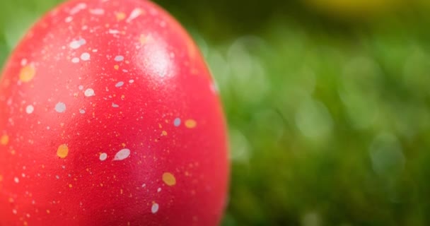 Animación Coloridos Huevos Pascua Sobre Hierba Domingo Pascua Concepto Celebración — Vídeo de stock