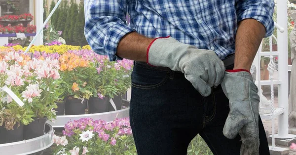 Middel Van Mannelijke Kaukasische Tuinman Met Handschoen Tegen Bloemen Kwekerij — Stockfoto