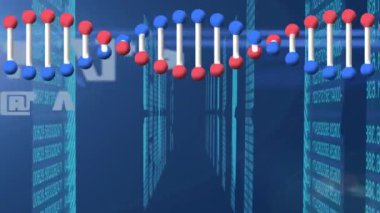 Mavi arka planda veri işleme ve DNA ipliği animasyonu. küresel iş, finans, bağlantılar ve dijital arayüz konsepti dijital olarak oluşturulmuş video.