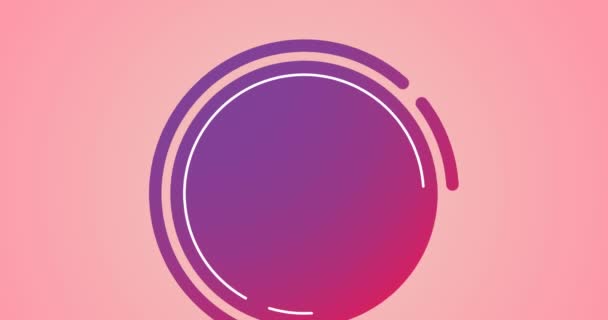 在粉色背景上动画绿色胡椒图标 食物及饮品概念数码影片 — 图库视频影像